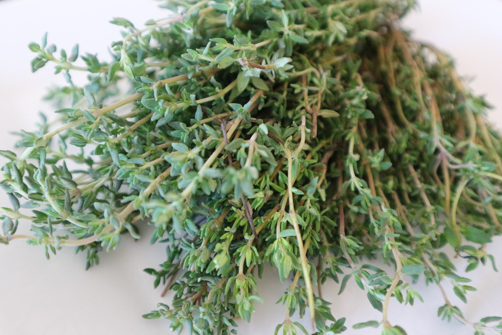 Thyme Seeds - Thymus Vulgaris