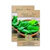 Spinach Seeds - Avon F1 Hybrid - Spinacia oleracea