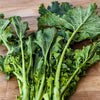 Turnip Seeds - Seven Top - Brassica rapa