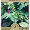 Malabar Spinach Seeds - Basella alba