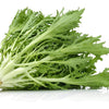 Endive Seeds - Green Curled Ruffec - Cicorium endivia