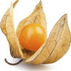 Cape Gooseberry Seeds - Large Fruit - Golden Berry - Ground Cherry -  Physalis peruviana