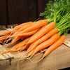 Carrot Seeds - Tendersweet - Daucus carota