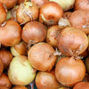 Gaea's Blessing Seeds - Onion Seeds - Non-GMO Heirloom Seeds with Easy to Follow Instructions