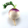 Turnip Seeds - Purple Top - Brassica rapa