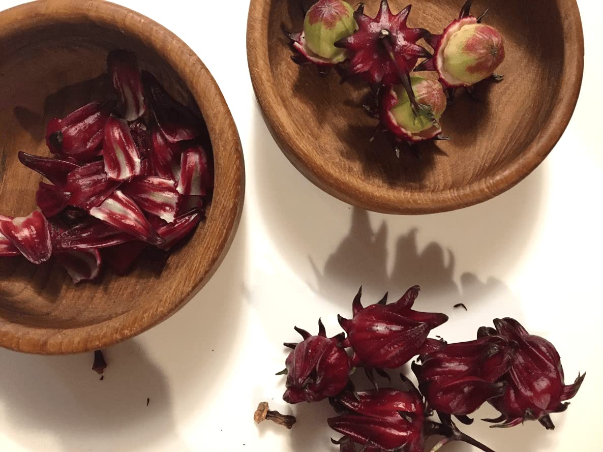hibiscus tea plant seeds Roselle Seeds - Jamaican Sorrel