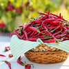 Cayenne Pepper Seeds - Capsicum annuum