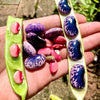 Scarlet Runner Bean Seeds - Phaseolus coccineus
