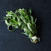 Tarragon Seeds - Artemesia drancunculus
