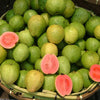 Guava Seeds - Psidium guajava