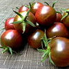 Cherry Tomato Seeds - Black Cherry - Lycopersicon esculentum