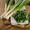 Scallion Seeds - Evergreen Bunching Nebuka - Allium fistulosum