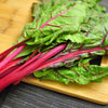 Swiss Chard Seeds - Ruby Red Rhubarb - Beta vulgaris