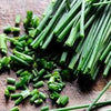 Chives Seeds - Allium schoenoprasum
