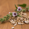 Marshmallow Seeds - Althea officinalis
