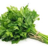 Parsley Seeds - Italian Giant - Petroselunum crispum