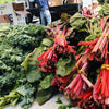 Swiss Chard Seeds - Ruby Red Rhubarb - Beta vulgaris