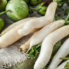 Daikon Radish Seeds - Minowase Heirloom - Japanese Style - Raphnius sativus