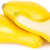 Crookneck Yellow Squash Seeds - Early Summer Squash - Curcubita pepo
