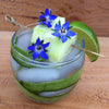 Borage Seeds - Borage officinalis