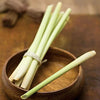 Lemongrass Seeds - Cymbopogon flexuosus