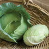 Cabbage Seeds - Copenhagen Market Early Cabbage - Brassica olearacea