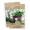 Gaea's Blessing Seeds - Catnip Seeds - Non-GMO Heirloom Seeds Nepata Cataria Open-Pollinated - with Easy to Follow Instructions - 90% Germination Rate Net Wt. 1.1g