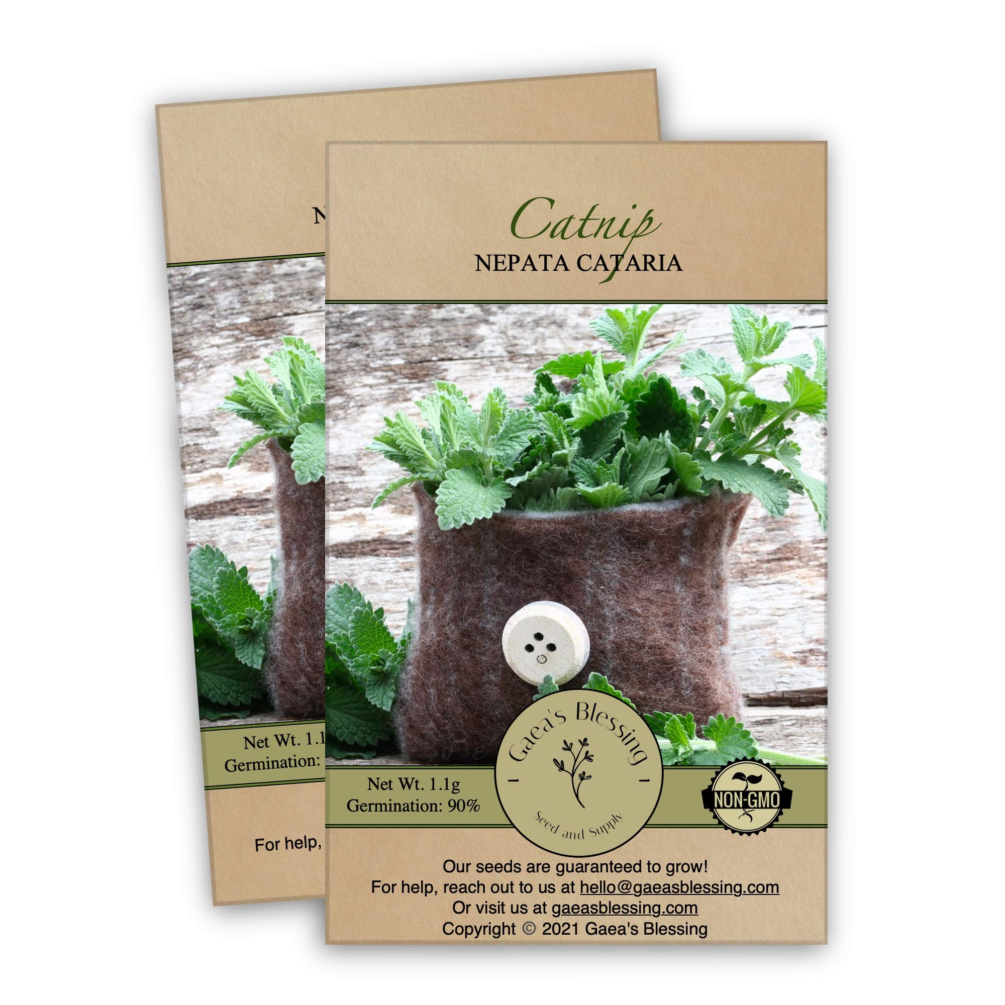 Gaea's Blessing Seeds - Catnip Seeds - Non-GMO Heirloom Seeds Nepata Cataria Open-Pollinated - with Easy to Follow Instructions - 90% Germination Rate Net Wt. 1.1g