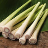 Lemongrass Seeds - Cymbopogon flexuosus