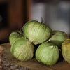 Tomatillo Seeds - Grande Rio Verde - Physalis philadelphica