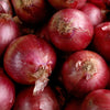 Gaea's Blessing Seeds - Onion Seeds - Non-GMO Heirloom Seeds with Easy to Follow Instructions