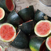Watermelon Seeds - Sugar Baby - Citrullus lanatus