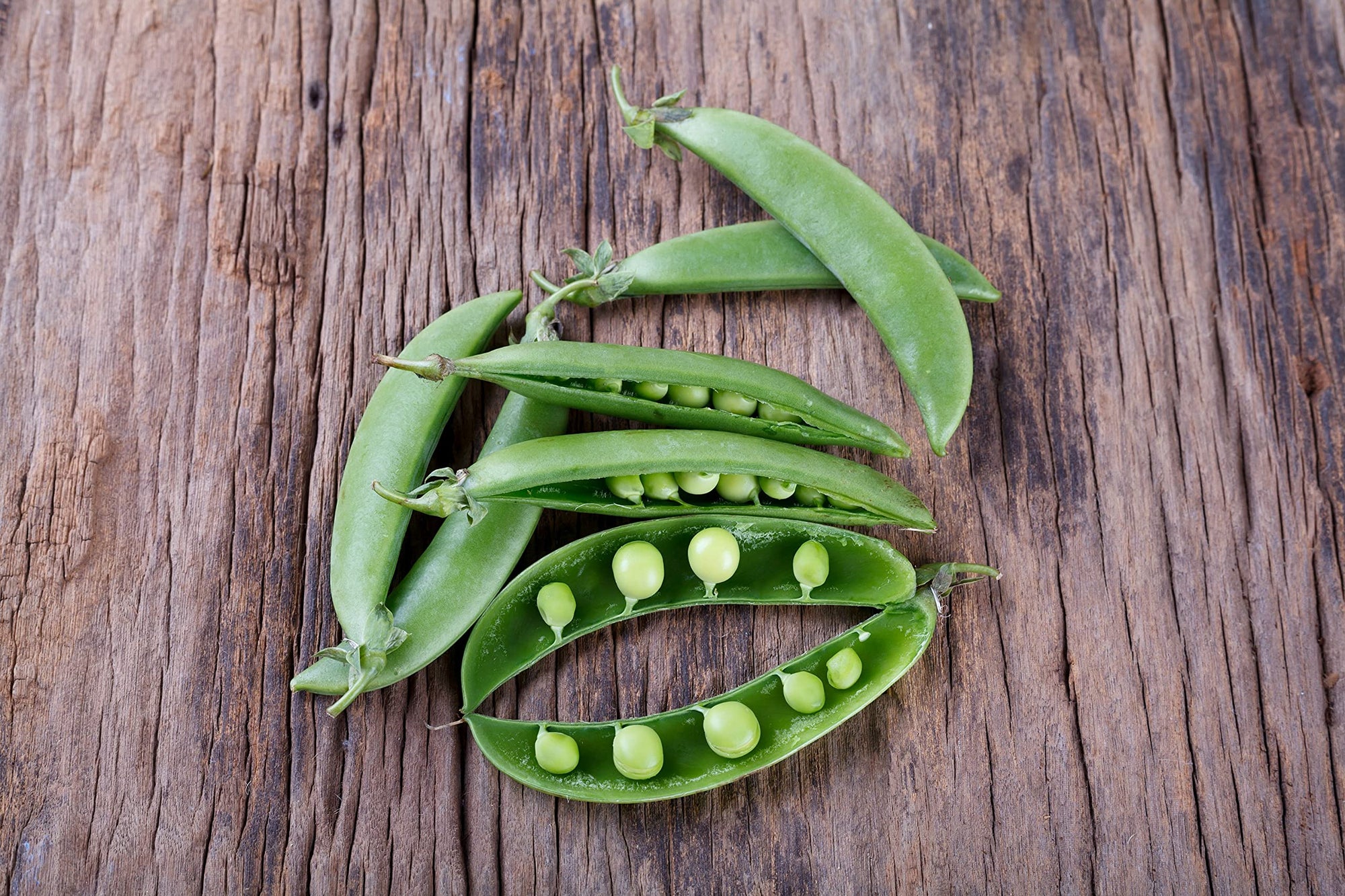 Sugar Snap Pea Seeds - Pisum sativum
