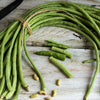Yard Long Bean Seeds - Vigna unguiculata