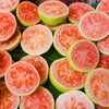 Guava Seeds - Psidium guajava