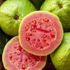 Guava Seeds - Psidium guajava