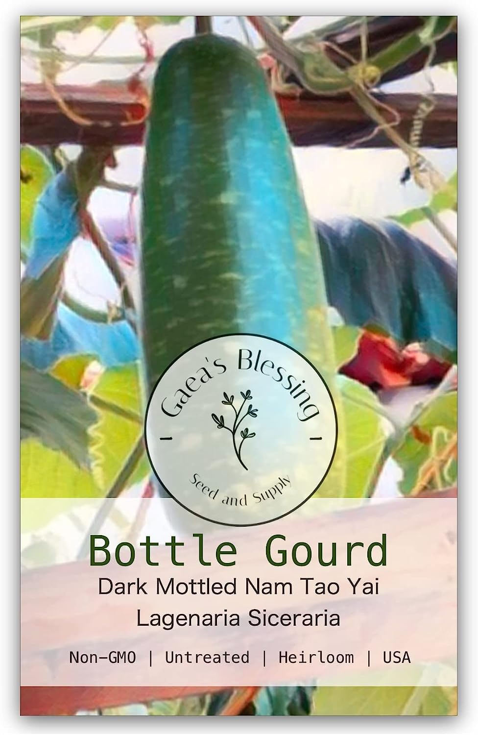 Gaea's Blessing Seeds - Bottle Gourd Seeds - Heirloom Non-GMO Seeds with Easy to Follow Planting Instructions
