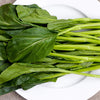 Yu Choy Sum Seeds - Jung Green - Brassica rapa var. parachinensis