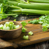 Celery Seeds - Tall Utah 52-70 - Apium graveolens
