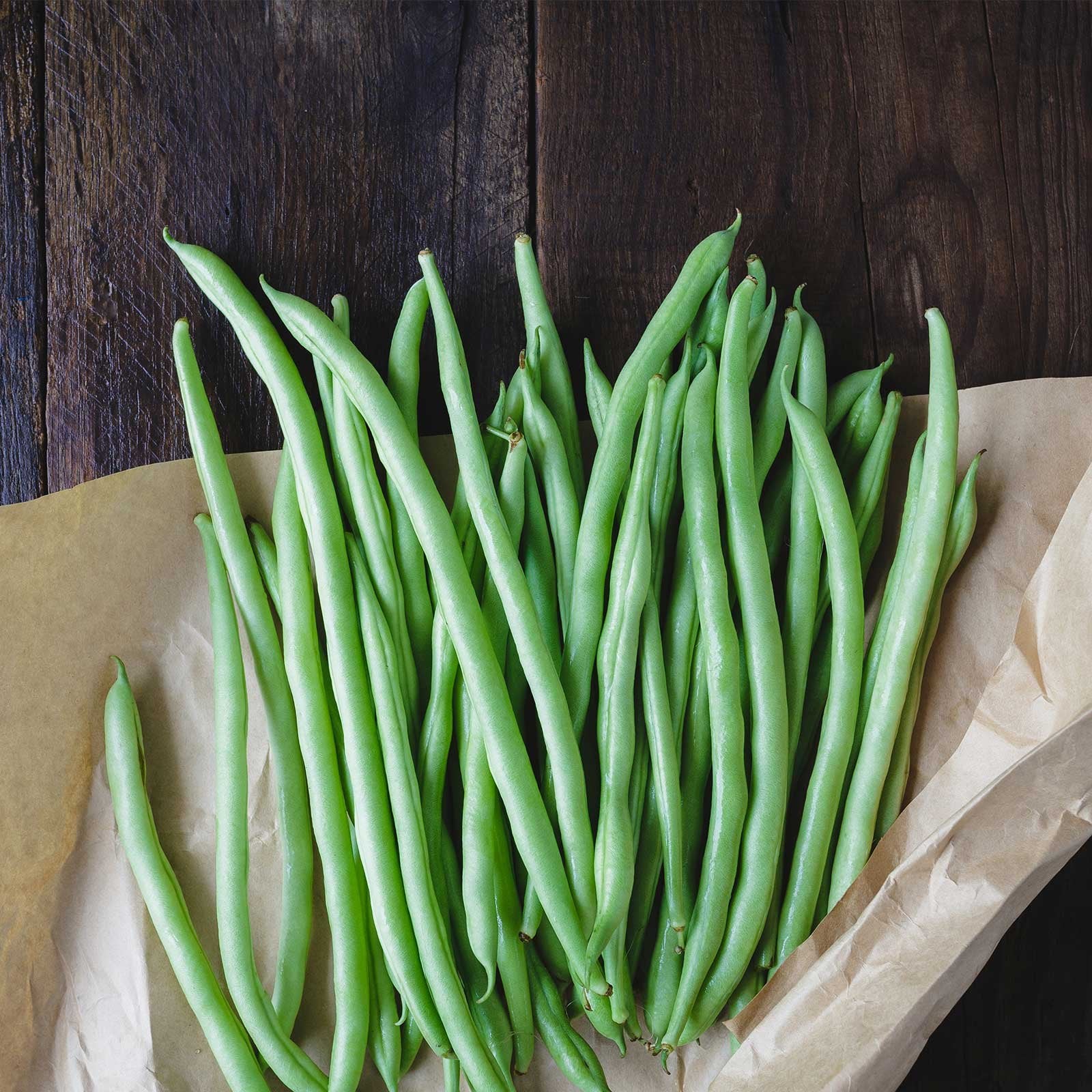Bush Bean Seeds - Contender - Phaseolus vulgaris