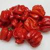 Habanero Pepper Seeds - Capsicum frutescens