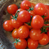 Cherry Tomato Seeds - Small Red Cherry Heirloom - Lycopersicon esculentum