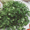Parsley Seeds - Dark Green Italian - Petroselinum crispum