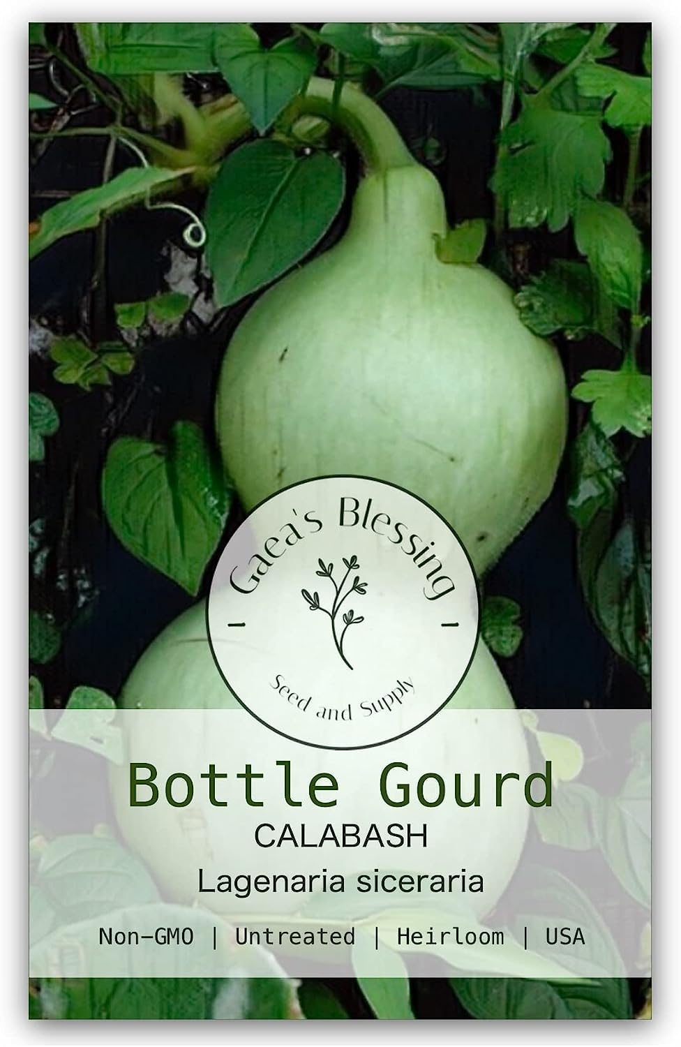 Gaea's Blessing Seeds - Bottle Gourd Seeds - Heirloom Non-GMO Seeds with Easy to Follow Planting Instructions