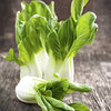 Gaea's Blessing Seeds - Bok Choy Seeds (2.0g) Canton Pak Choi Chinese Cabbage Non-GMO Seeds with Easy to Follow Planting Instructions - Heirloom 90% Germination Rate