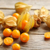 Cape Gooseberry Seeds - Large Fruit - Golden Berry - Ground Cherry -  Physalis peruviana