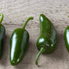 Jalapeno Pepper Seeds - Capsicum annuum