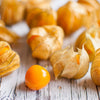 Cape Gooseberry Seeds - Large Fruit - Golden Berry - Ground Cherry -  Physalis peruviana