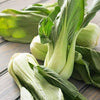 Gaea's Blessing Seeds - Bok Choy Seeds (2.0g) Canton Pak Choi Chinese Cabbage Non-GMO Seeds with Easy to Follow Planting Instructions - Heirloom 90% Germination Rate
