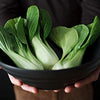 Gaea's Blessing Seeds - Bok Choy Seeds (2.0g) Canton Pak Choi Chinese Cabbage Non-GMO Seeds with Easy to Follow Planting Instructions - Heirloom 90% Germination Rate
